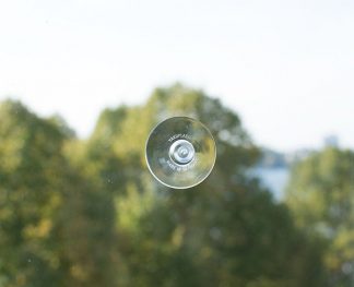 ZWITSCHERBOX-Saugnapf