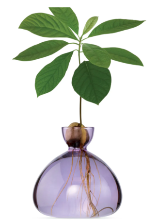 Avocado Vase Flieder