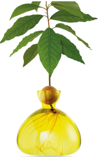 Avocado Vase Sonnenlichtgelb