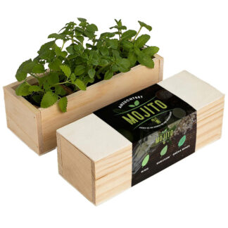KräuterBox Anzuchtset Mojito