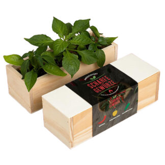 KräuterBox Anzuchtset Scharfe Gewürze