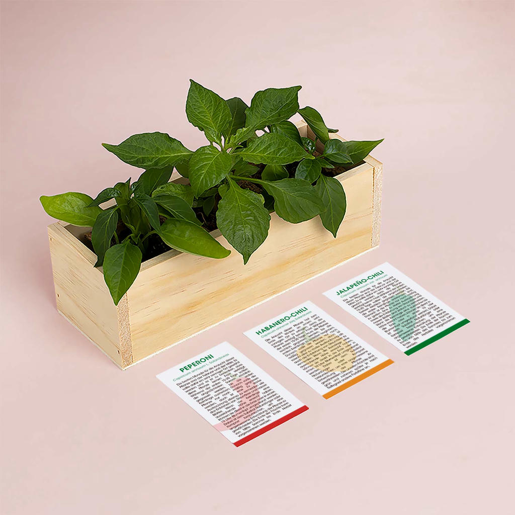 KräuterBox Anzuchtset Scharfe Gewürze – Bild 3