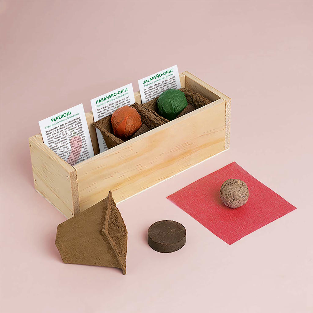 KräuterBox Anzuchtset Scharfe Gewürze – Bild 4