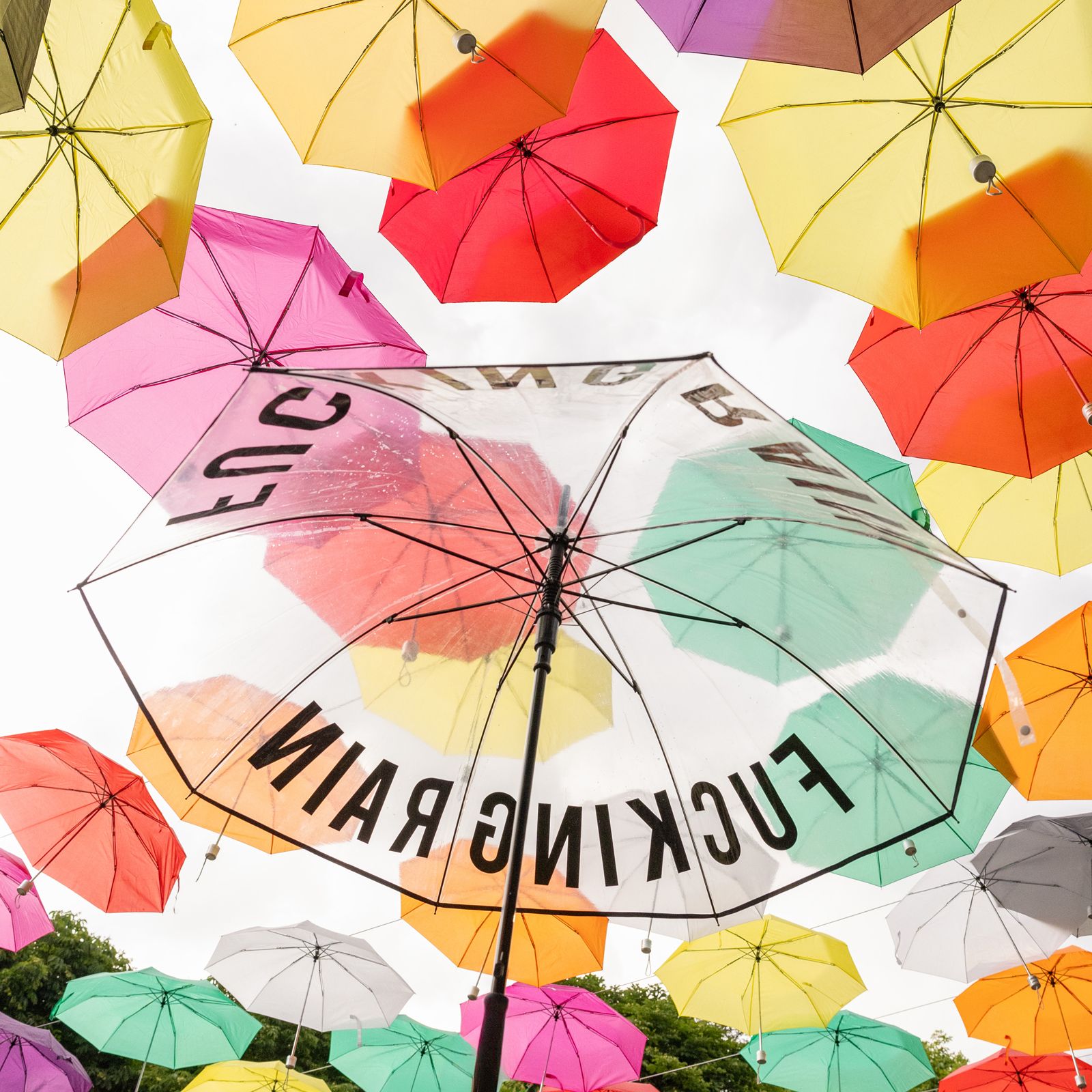 Regenschirm FUCKING RAIN klar – Bild 2