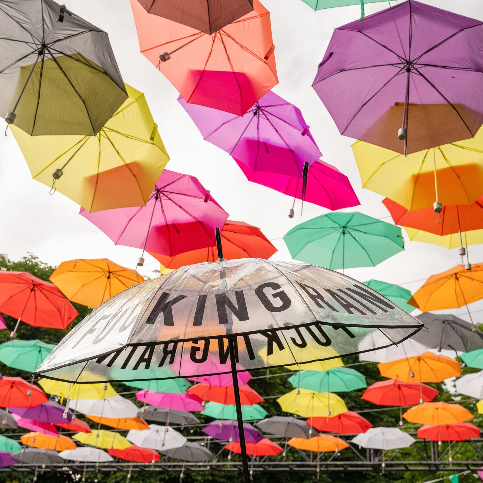 Regenschirm FUCKING RAIN klar – Bild 3