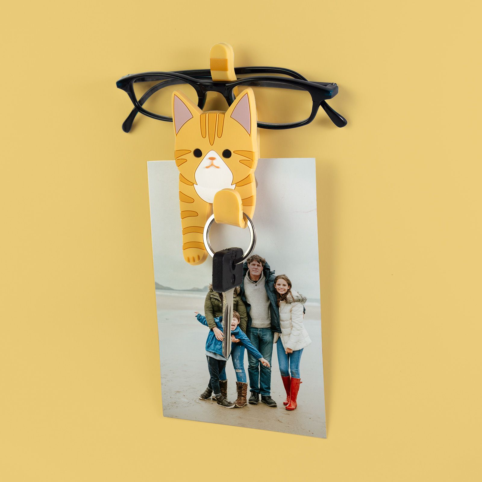 Magnete CLIP & HOOK Cat – Bild 3