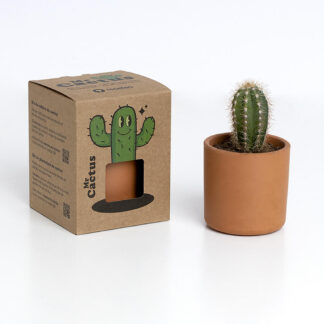 Kaktus Aufzuchtset MR. CACTUS